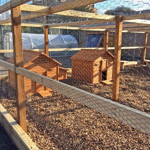 Chicken-Houses