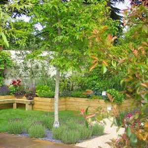 Hampton-Court-showgarden-1