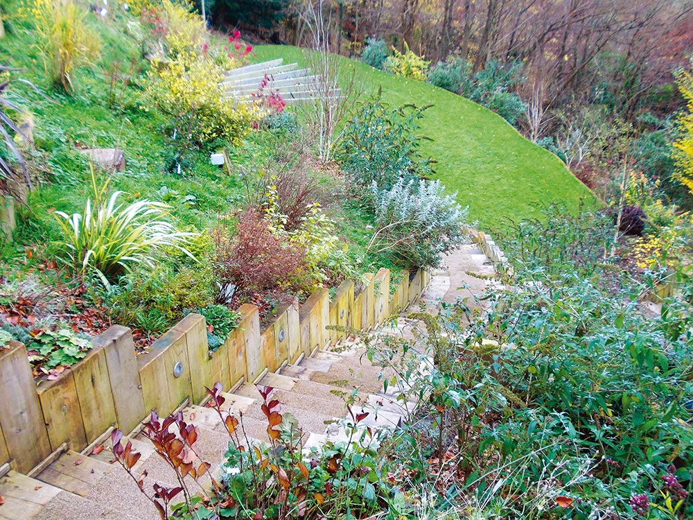 Steps down to lower garden with new planting