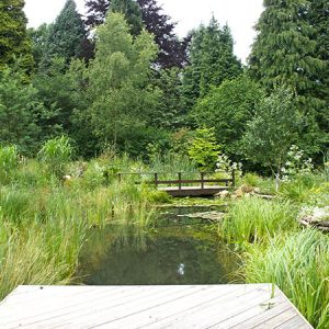 Pond-and-landscaping-finished