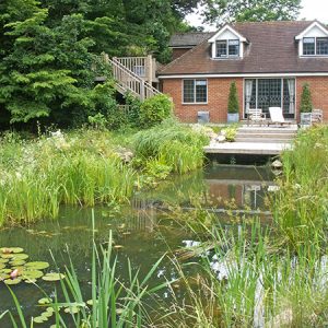 Swimming-pond-finished