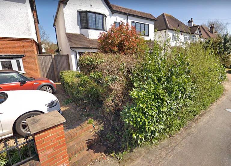 View of overgrown front garden before start of project